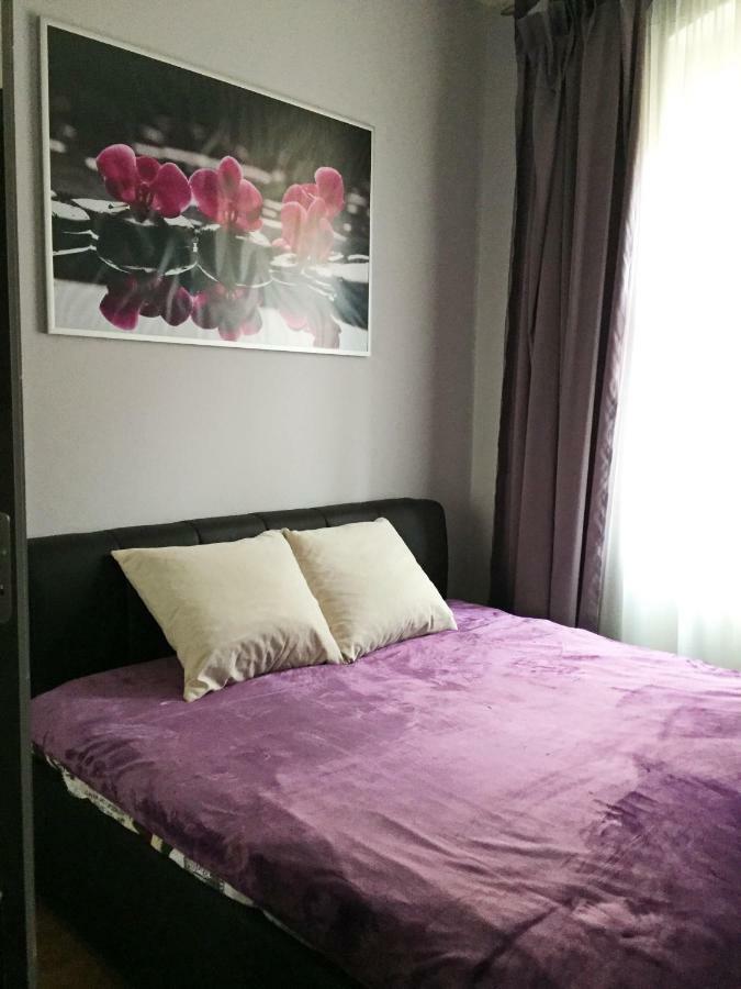 Apartment Dr. Becher Lux 60 M2 KLV Exterior foto